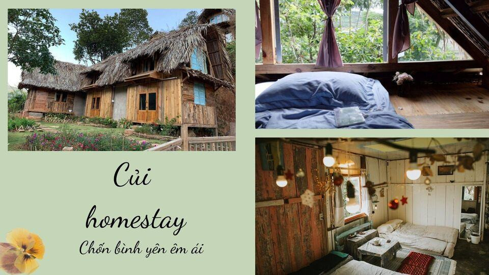 Củi Homestay