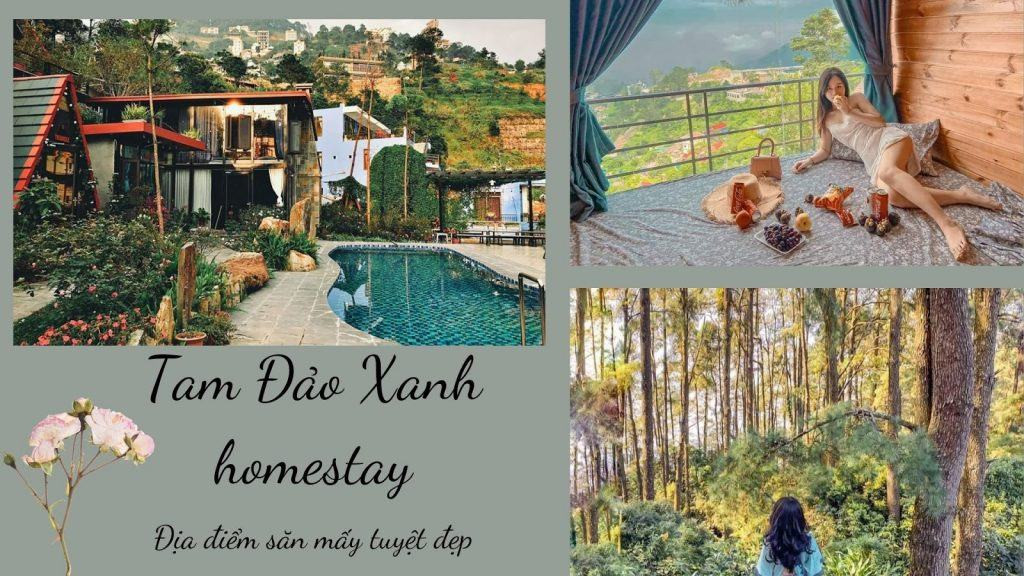 không gian phòng tại Tam Đảo Xanh