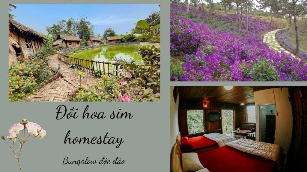 khung cảnh vùng quê cạnh homestay