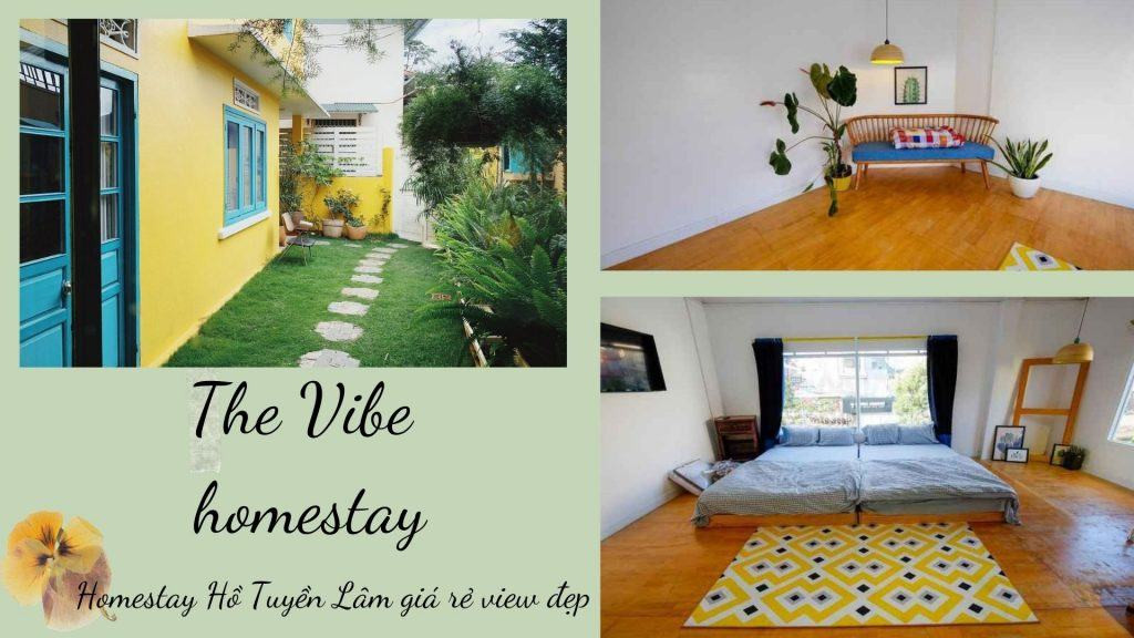 The Vibe Homestay