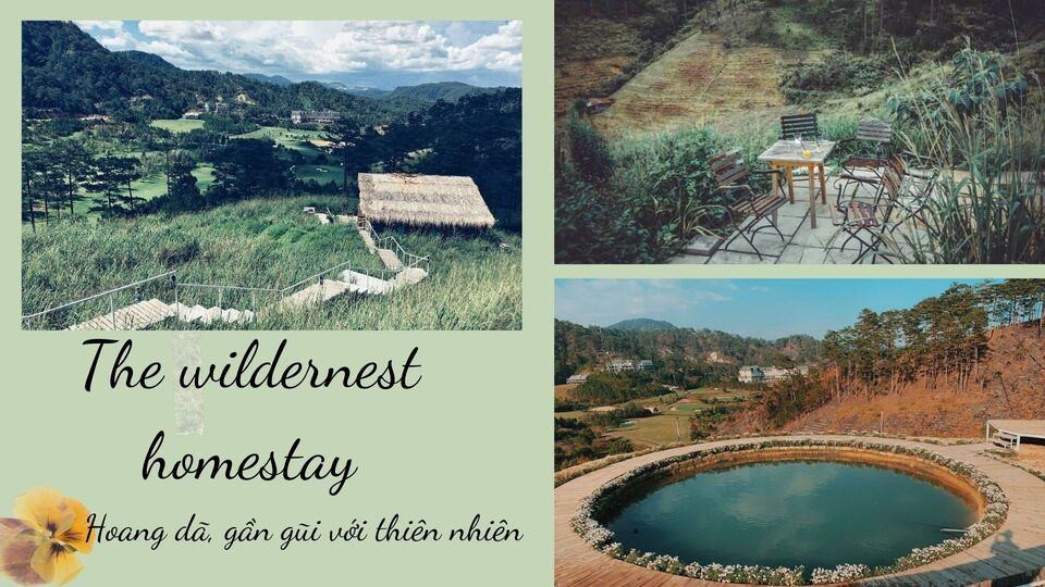 The Wildernest Homestay