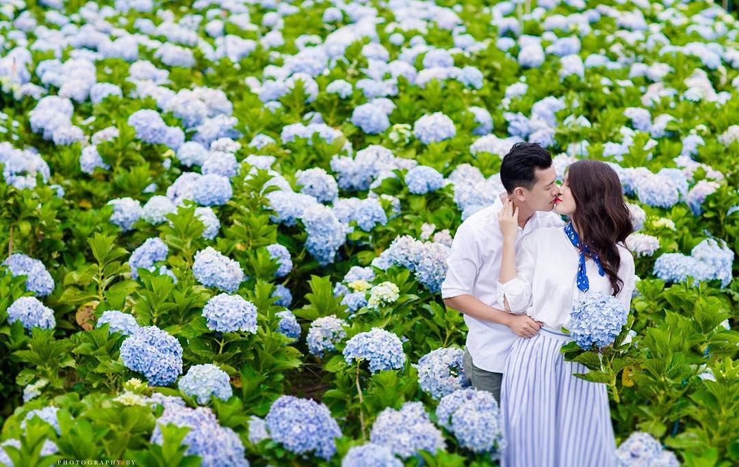 Vườn hoa Đà Lạt