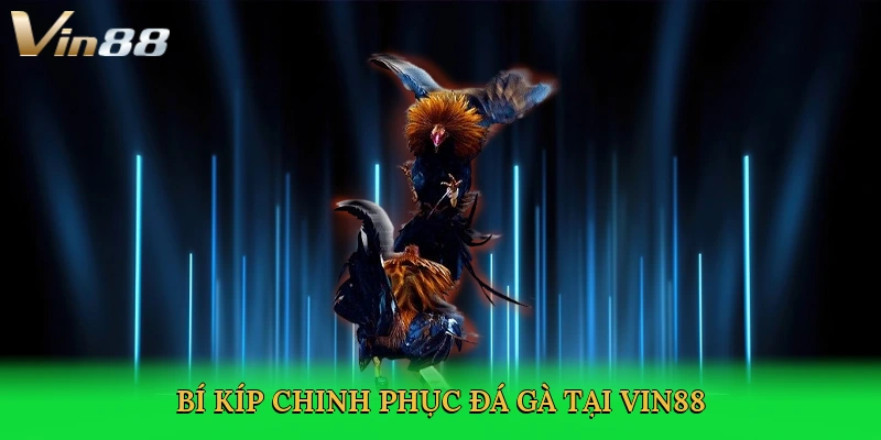 bi-kip-chinh-phuc-da-ga-tai-vin88-4