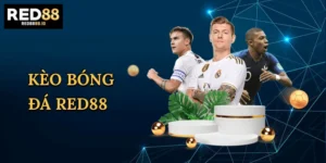 Bắn Cá Vin88 – Khám Phá Đại Dương Và Săn Thưởng Mỗi Ngày