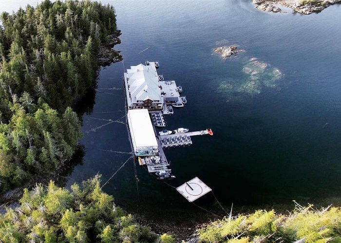 Khách sạn King Pacific Lodge, nàng công chúa ngủ trong rừng biệt lập ở Canada