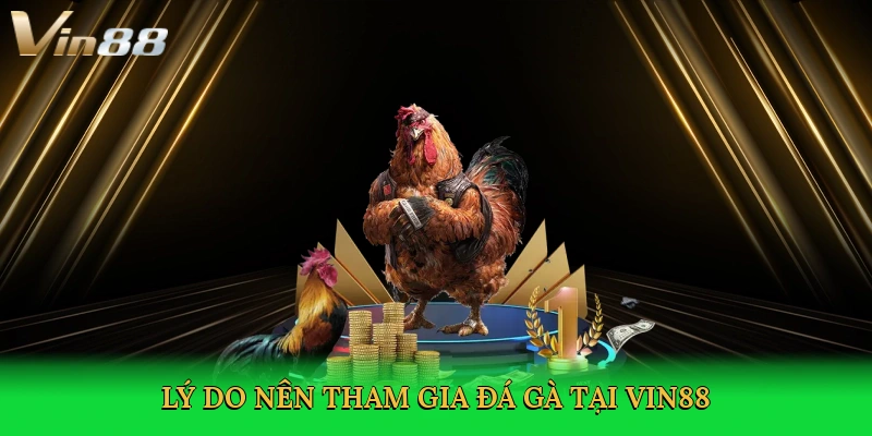 ly-do-nen-tham-gia-da-ga-tai-vin88-3