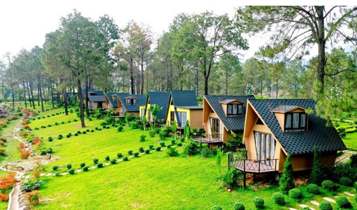 Mê mẩn với những resort vừa đẹp vừa sang chảnh tại Mộc Châu