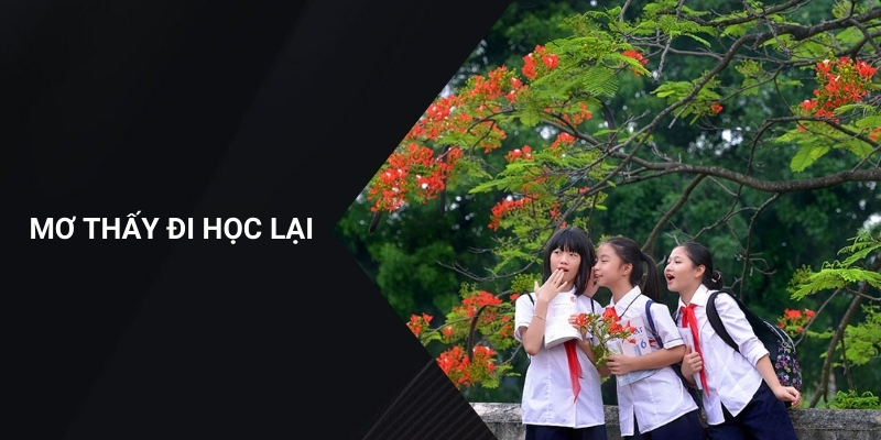 Mơ thấy đi học lại