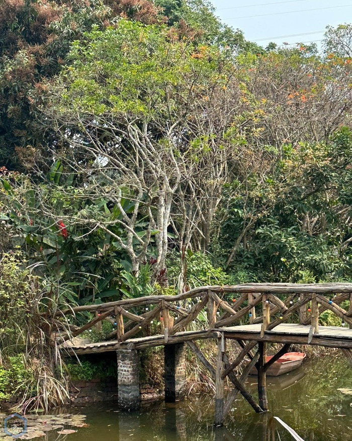 Nala Boutique Retreat: Giữ nếp xưa qua từng căn nhà cổ mang đậm dấu ấn văn hoá truyền thống Bắc Bộ