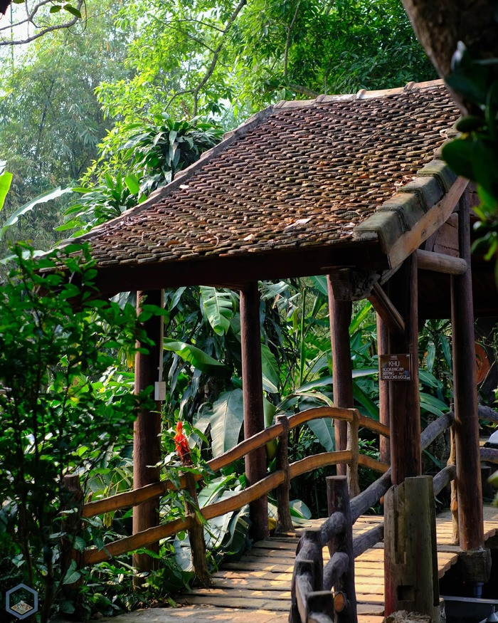 Nala Boutique Retreat: Giữ nếp xưa qua từng căn nhà cổ mang đậm dấu ấn văn hoá truyền thống Bắc Bộ