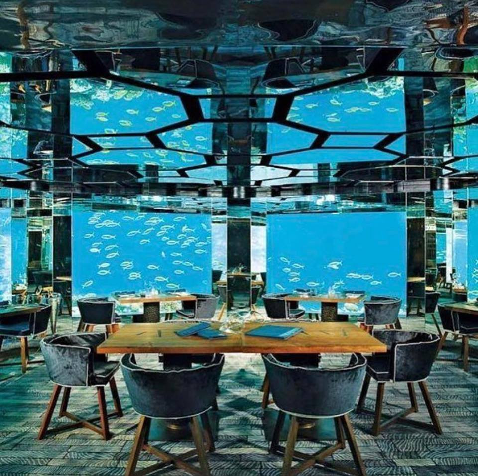 Resort Anantara Kihavah Maldives Villas, nơi bạn cảm nhận cái đẹp chạm đến từng cảm quan