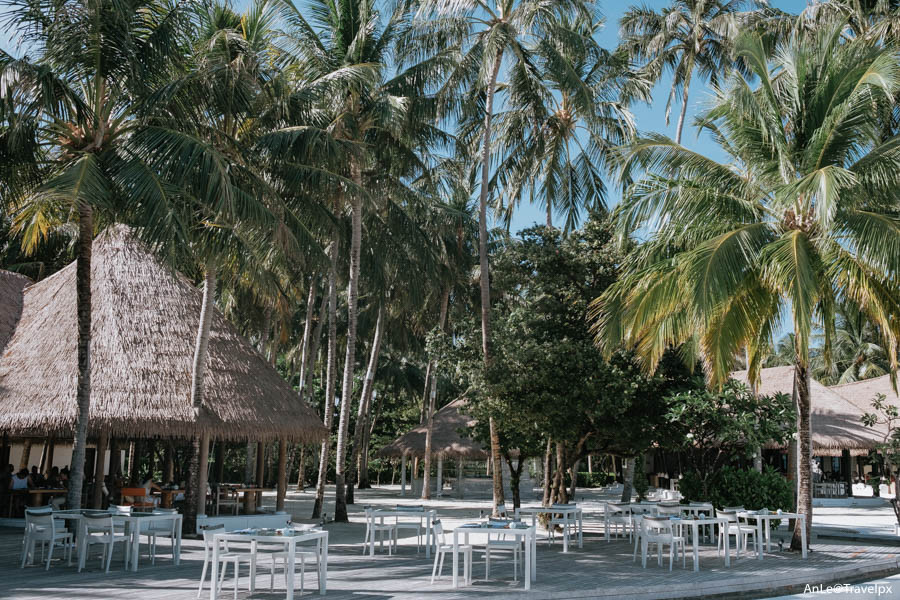 Resort COMO Maalifushi, nơi đảm bảo cho một kỳ nghỉ dưỡng hoàn hảo ở thiên đường Maldives