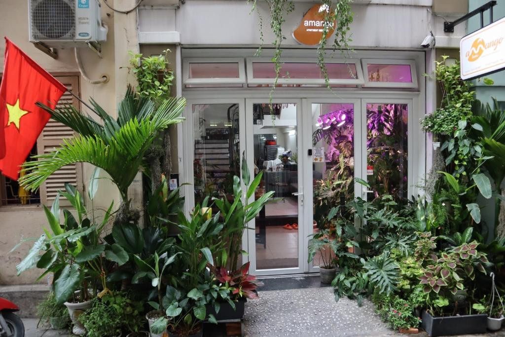 Review khách sạn AMANGO HOSTEL tại trung tâm Quận 1, TP.HCM