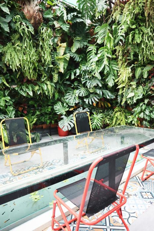 Review khách sạn AMANGO HOSTEL tại trung tâm Quận 1, TP.HCM
