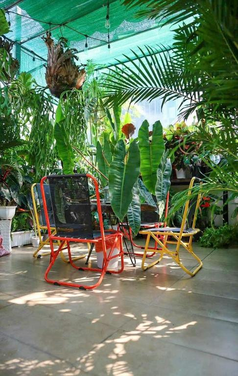 Review khách sạn AMANGO HOSTEL tại trung tâm Quận 1, TP.HCM