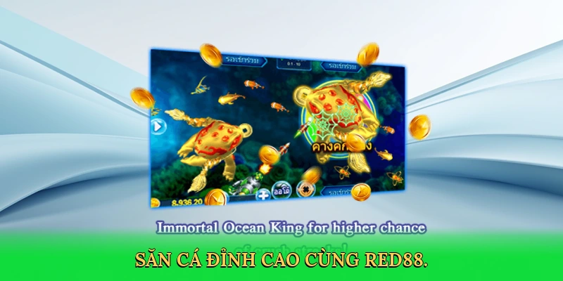 Mẹo Săn Cá &#8211; Bí Quyết Thắng Lớn Cùng RED88