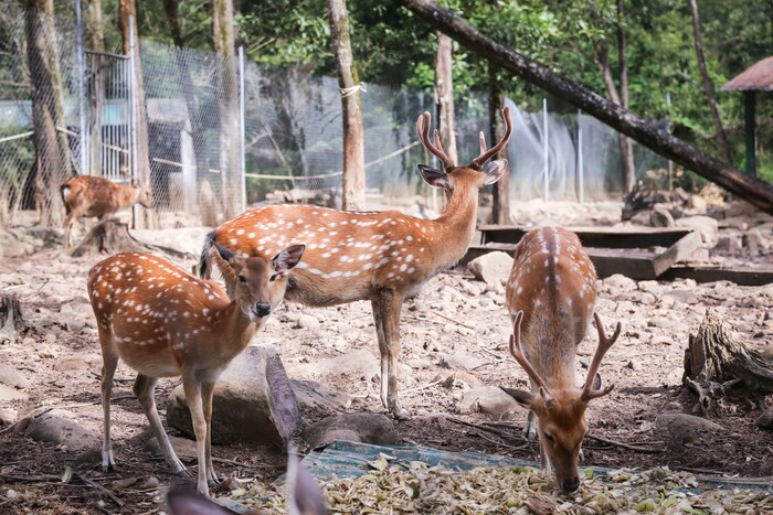 Tận hưởng hệ thống dịch vụ thư giãn ấn tượng tại khu nghỉ dưỡng suối khoáng nóng Alba Thanh Tân