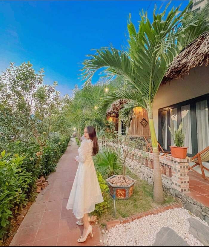 Tận hưởng kỳ nghỉ lý tưởng giữa thiên nhiên núi rừng thanh bình tại Tam Cốc Rice Fields Resort