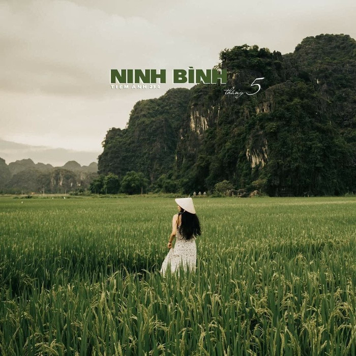 Tận hưởng kỳ nghỉ lý tưởng giữa thiên nhiên núi rừng thanh bình tại Tam Cốc Rice Fields Resort