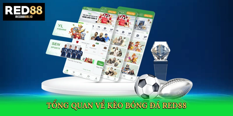 tong-quan-ve-keo-bong-da-red88-2