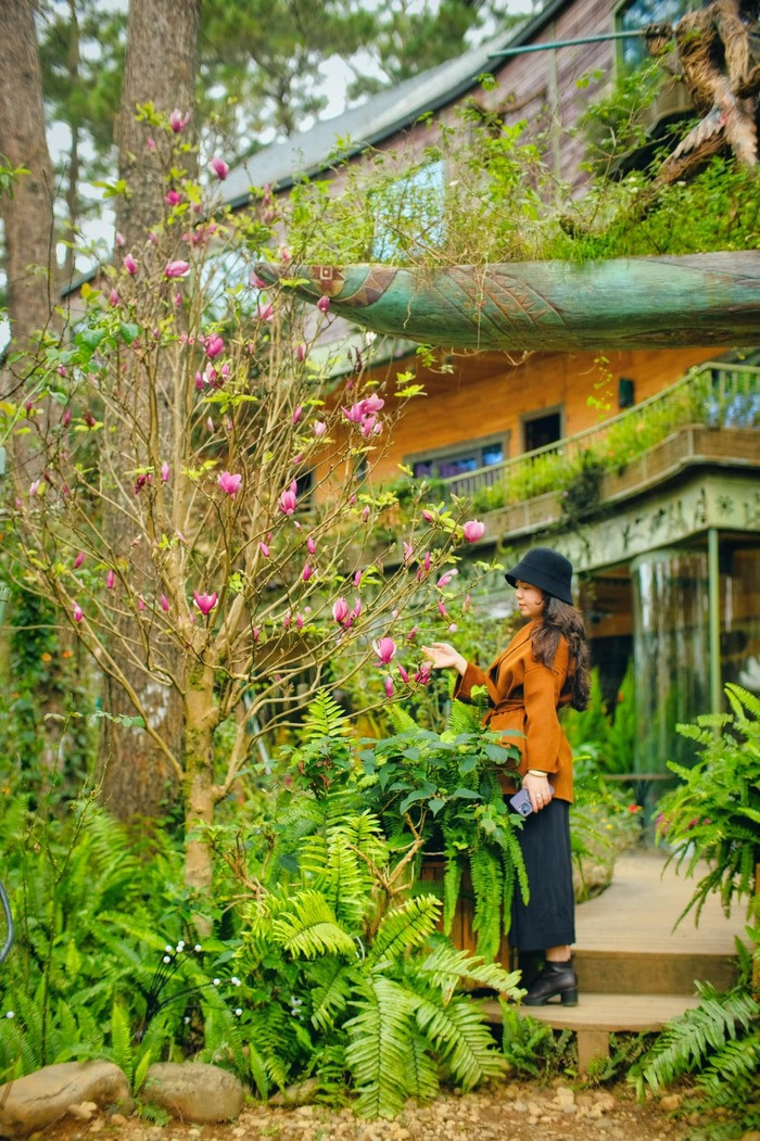 Top 5 homestay chất lượng ở Măng Đen cho hành trình du lịch khám phá ‘nàng thơ’ của Tây Nguyên