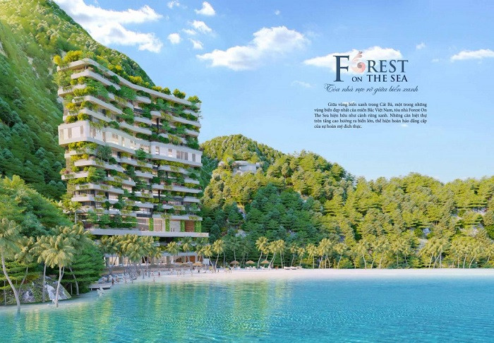 Trải nghiệm nghỉ dưỡng tại khách sạn Flamingo Cát Bà – Đẳng cấp resort 5*