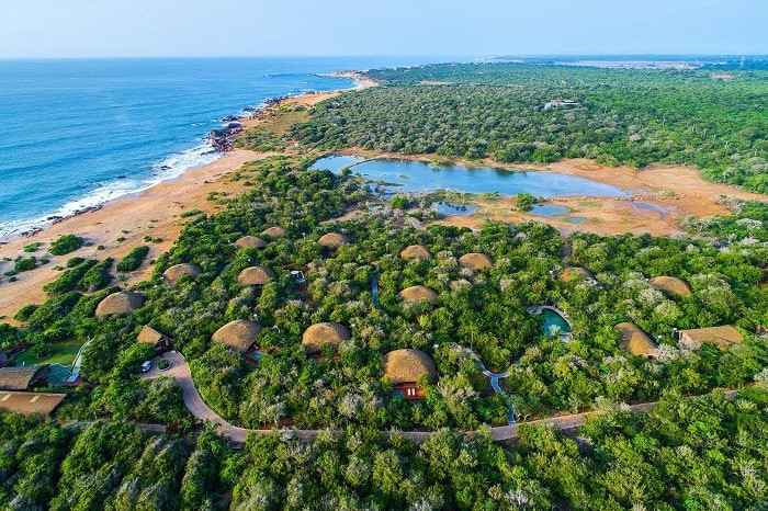 Uga Chena Huts Yala, cánh cửa thần kỳ đưa bạn trở về thiên nhiên hoang dã với muôn chim vạn thú