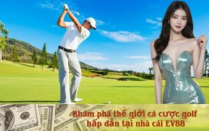 Top các app game Phỏm uy tín nhất hiện nay cho người chơi