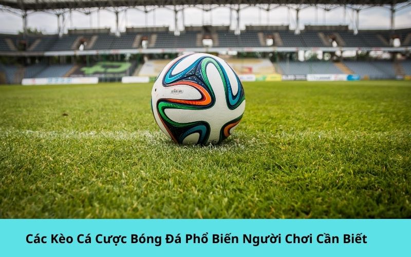 Các Kèo Cá Cược Bóng Đá Phổ Biến Người Chơi Cần Biết