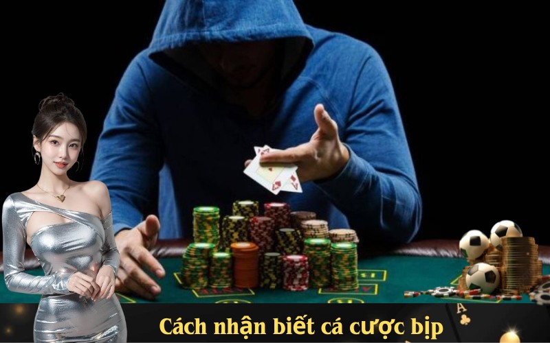 Dấu hiệu nhận biết cá cược bịp và cách phòng tránh tại SV 368
