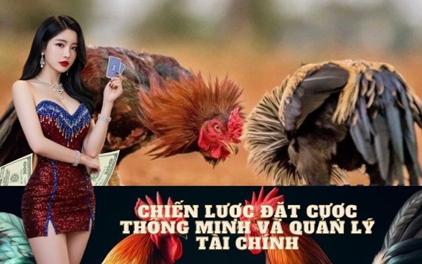 Đọc tỷ lệ cược âm dương đá gà