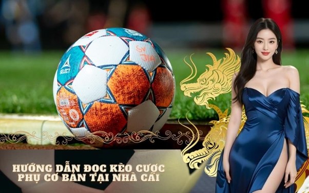 Hướng Dẫn Đọc Kèo Cược Phụ Cơ Bản Tại Nhà Cái