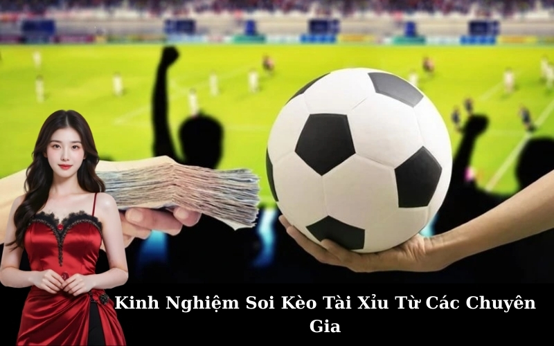 Toàn tập thuật ngữ kèo Tài Xỉu cho người chơi