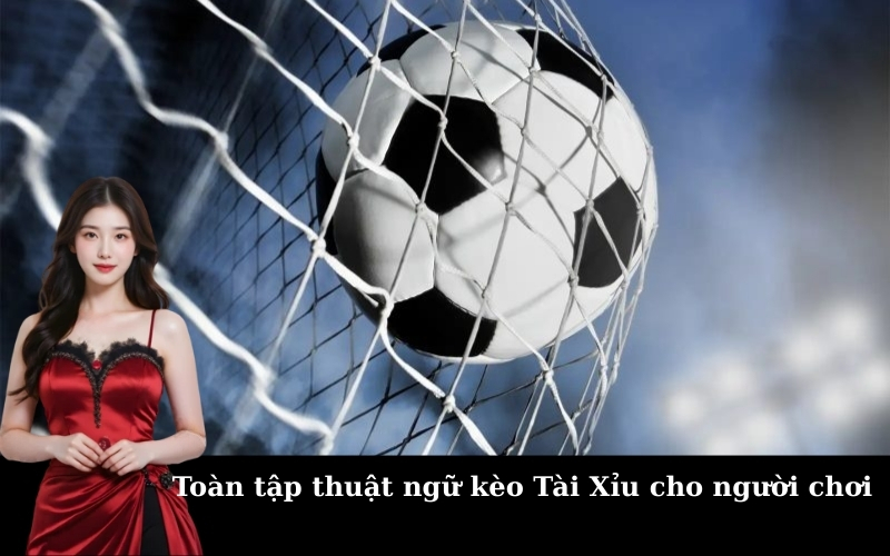 Toàn tập thuật ngữ kèo Tài Xỉu cho người chơi