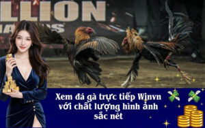 Top các app game Phỏm uy tín nhất hiện nay cho người chơi