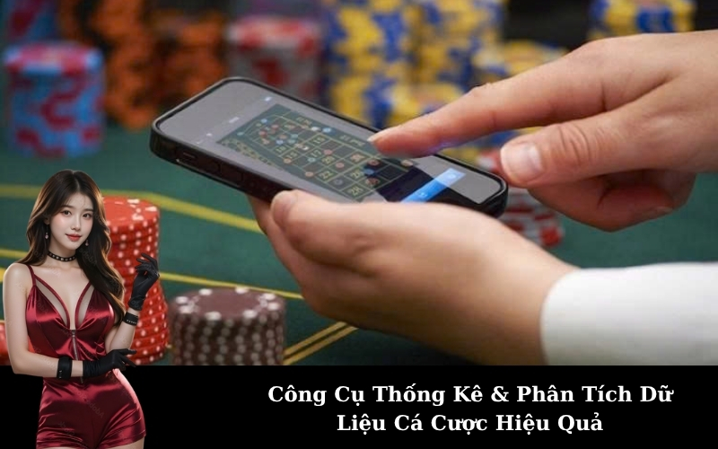 Công Cụ Thống Kê & Phân Tích Dữ Liệu Cá Cược Hiệu Quả